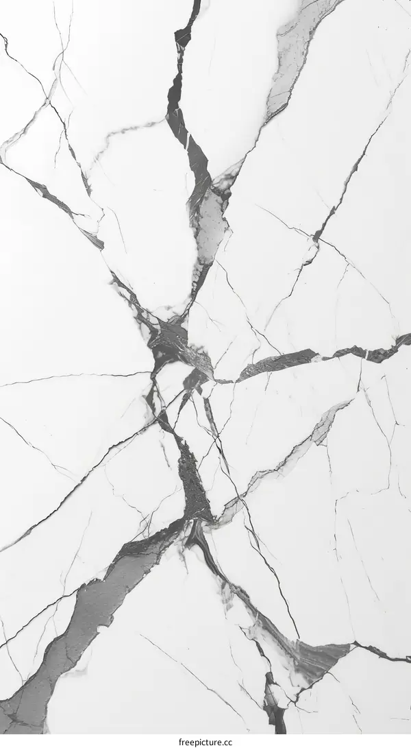Black and white marble texture background