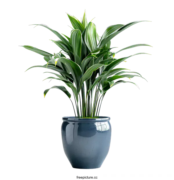 [Transparent Background PNG]Indoor Potted Plant