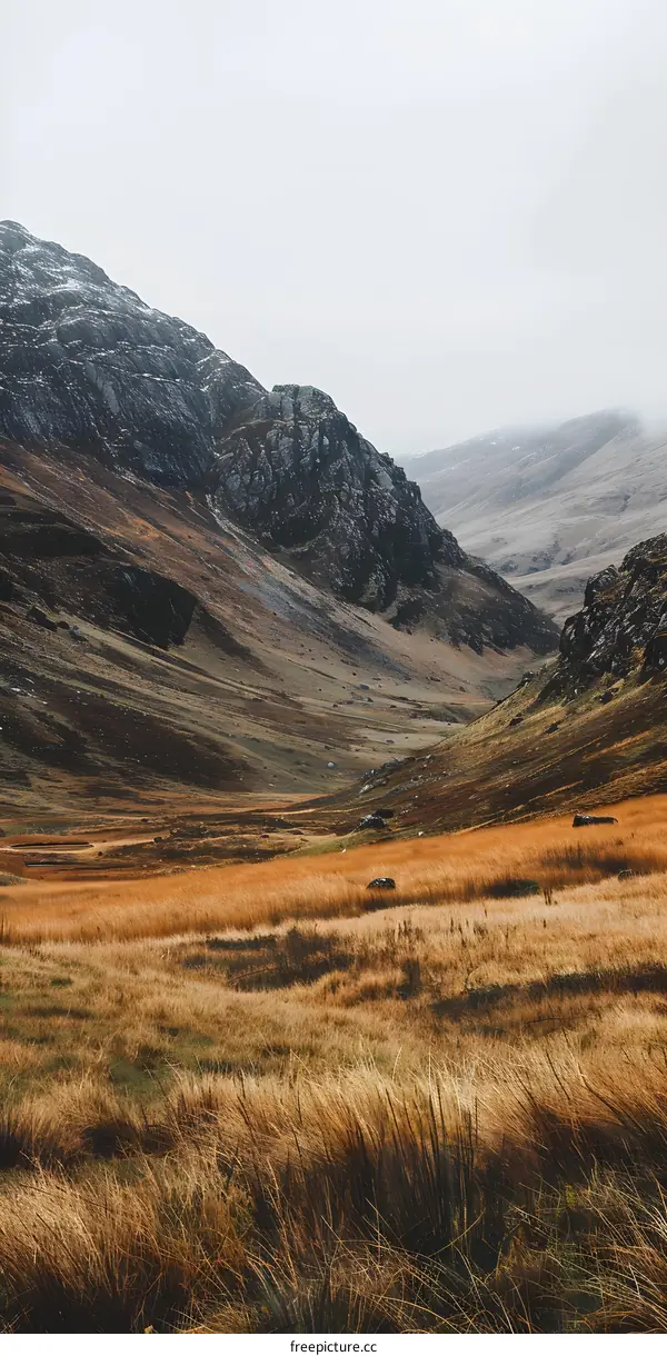 Mountain Valley Landscape with Foggy Sky