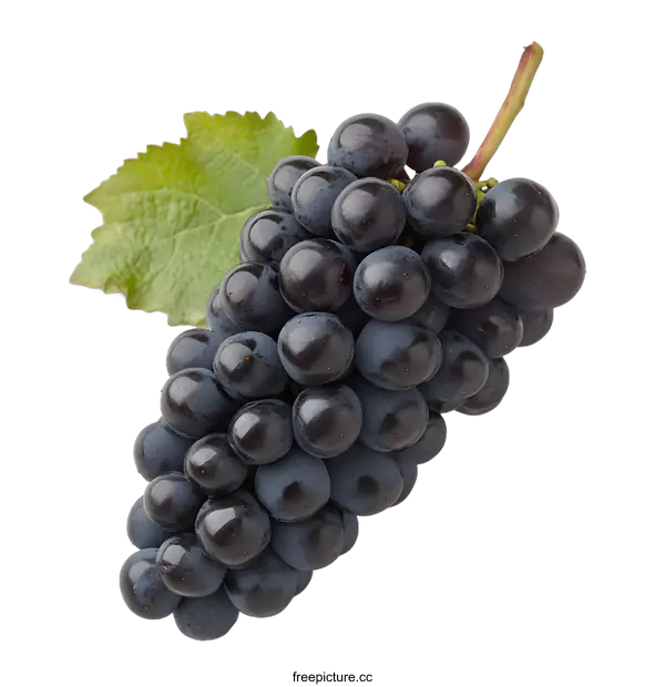 [Transparent Background PNG]Fresh Purple Grapes with Green Leaf on White Background