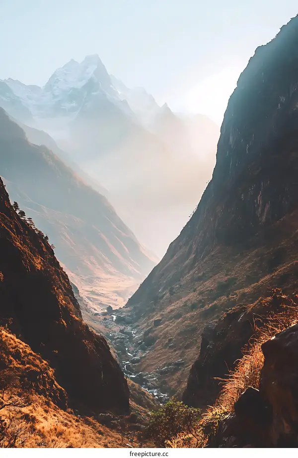 Mountain Valley Landscape with River and Fog