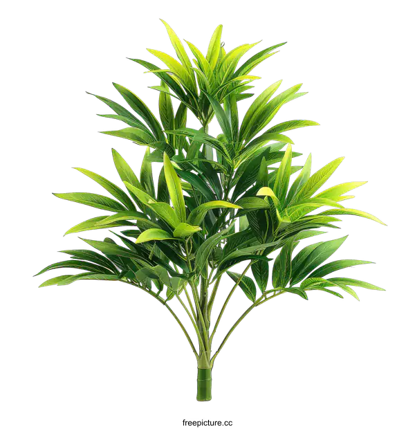 [Transparent Background PNG]Green Tropical Plant on transparent background