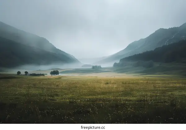 Misty Mountains and Green Field