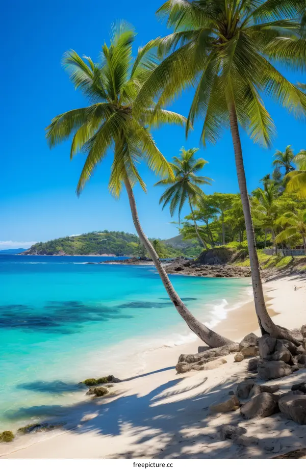 Tropical Beach Paradise with Palm Trees