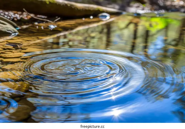 water surface ripples caused by a single drop