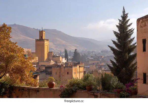 Moroccan Cityscape with Yellow Minar and Autumn Trees