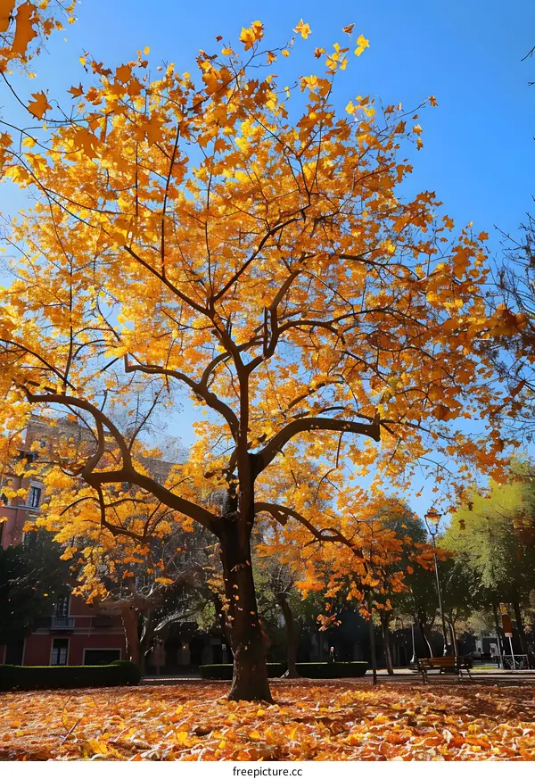 The beauty of autumn