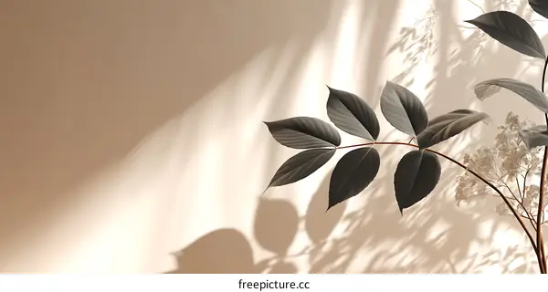 Elegant Plant Shadows on Beige Wall
