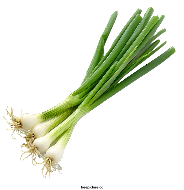 [Transparent Background PNG]Fresh green onions on a white background