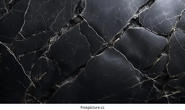 Black marble texture with white and gold veins
