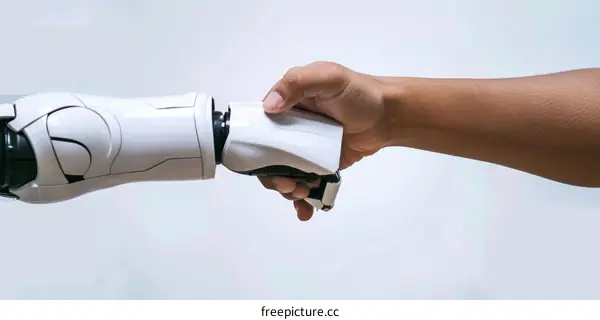 Human and Robot Handshake Cooperation