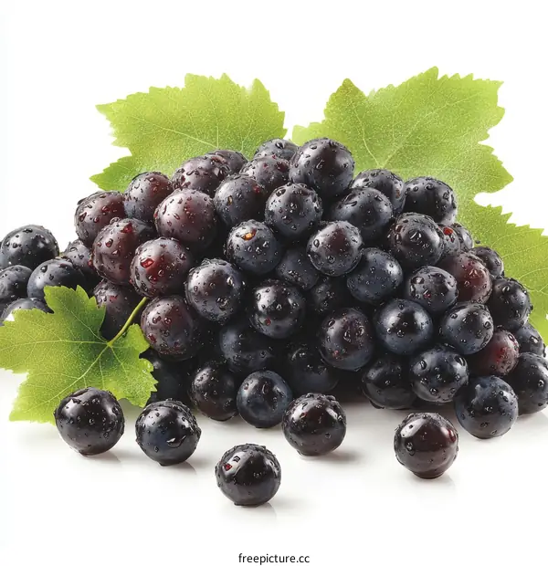 Fresh Black Grapes with Water Drops