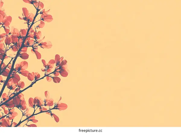 Branch of Red Leaves on Beige Background
