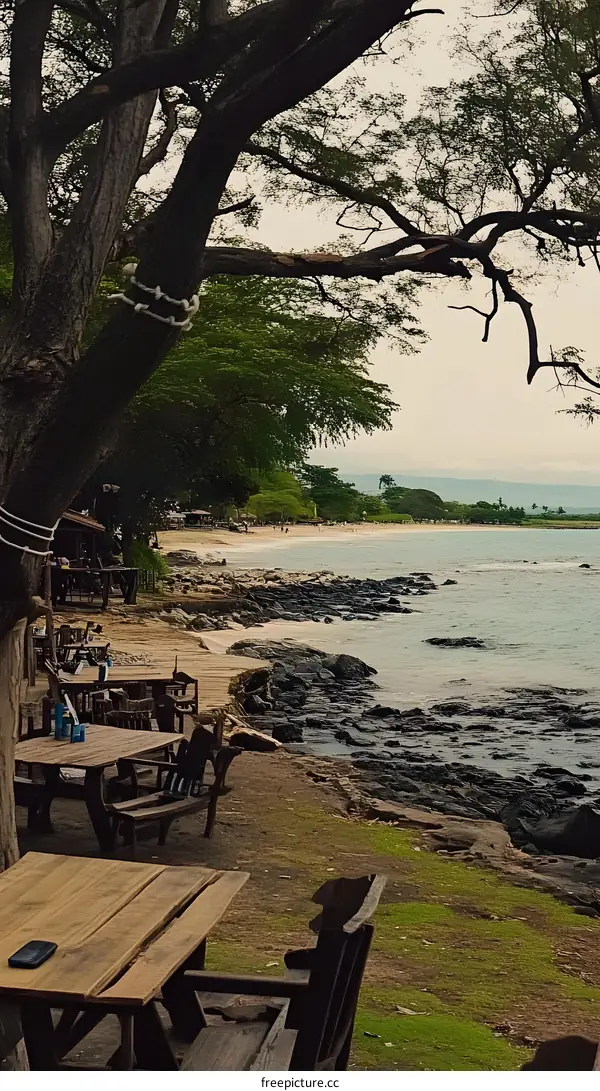 Ocean View with Palm Trees and Wooden Tables