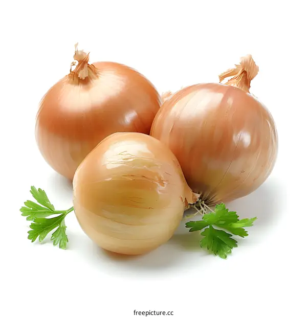 Three Onions and Parsley on White