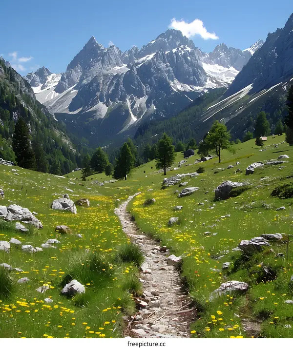 mountain valley with blooming flowers