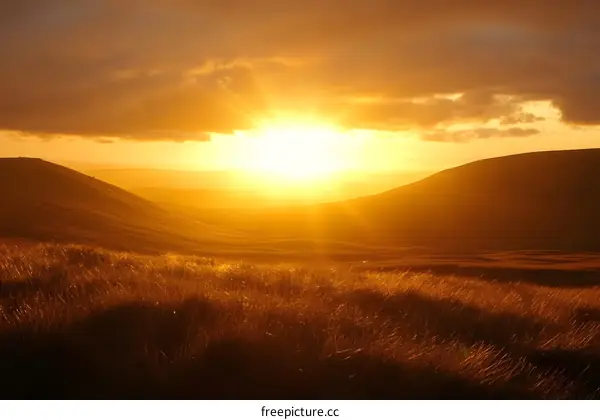 Golden Sunset Over Rolling Hills and Grassland