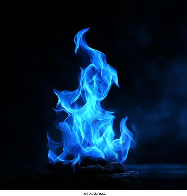 Abstract Blue Flames Against a Black Background