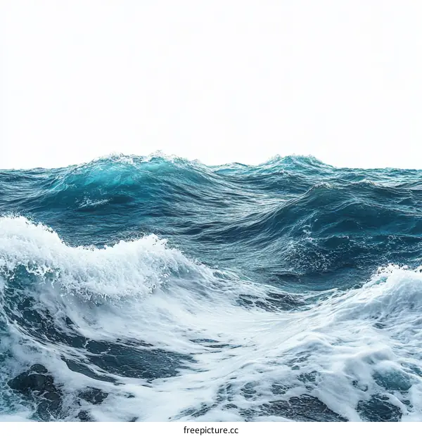 Vast Ocean Waves Crashing