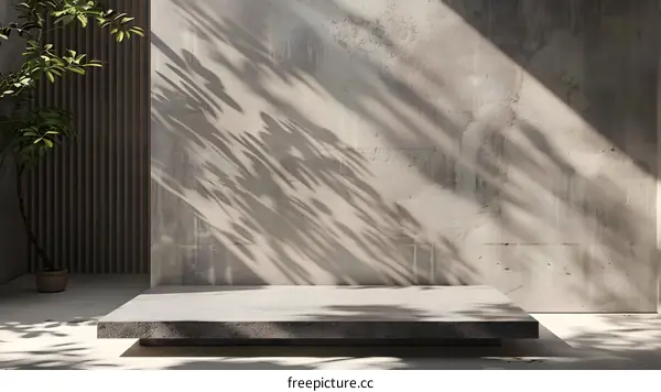 Minimalist Concrete Platform with Plant Shadow