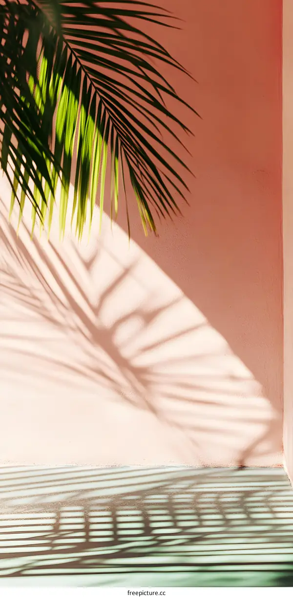 Palm Leaf Shadow On Pink Wall