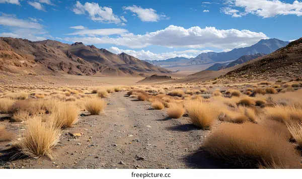 Desert Valley Landscape with Mountain Range and Blue Sky