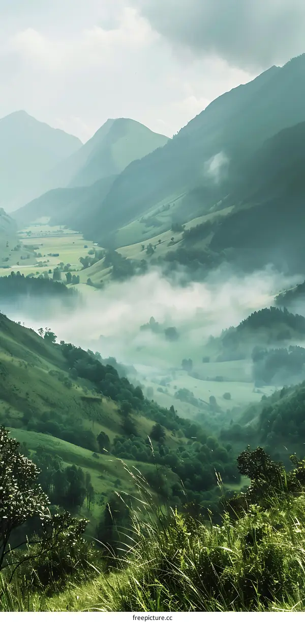 Misty Morning Landscape With Rolling Hills