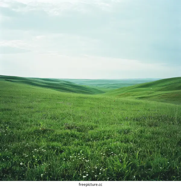 Picturesque green rolling hills under a partly cloudy sky
