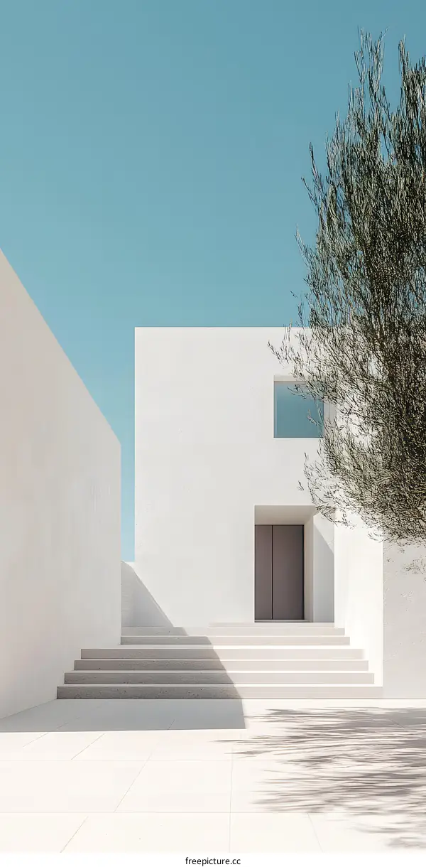 Minimalist Modern House Exterior with Stairs and Tree