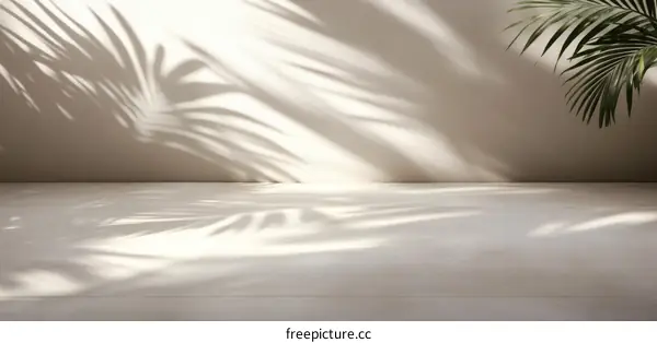 Minimalist Modern Empty Space with Plant Shadows