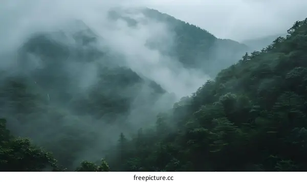 Misty Mountain Landscape with Lush Greenery