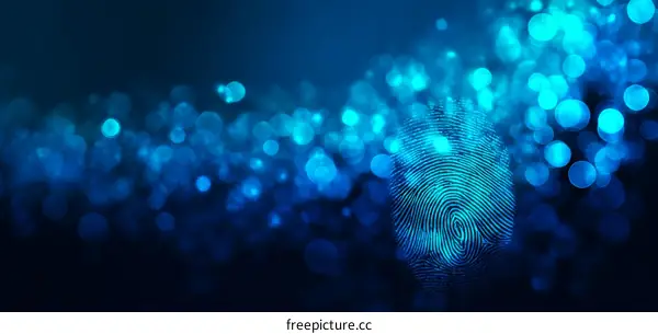 Fingerprint Abstract Background Illustration