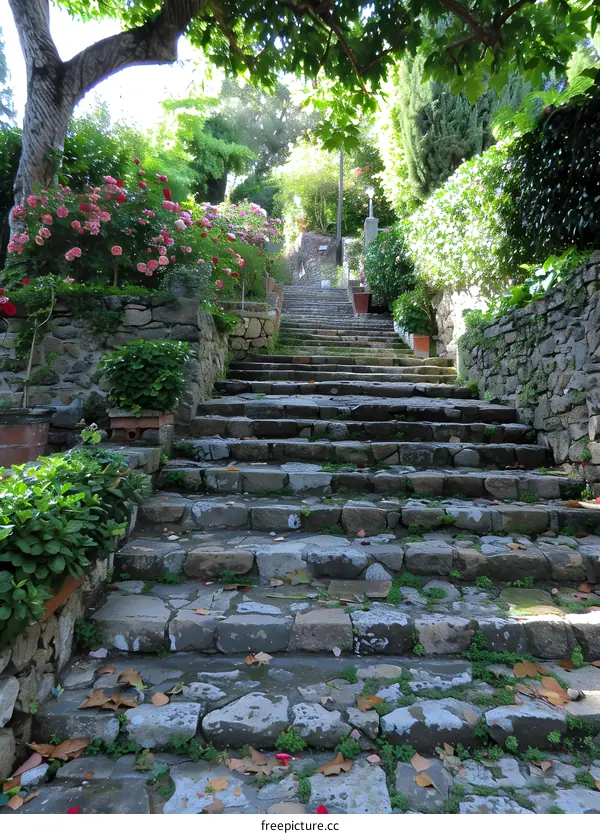 Stone Steps Leading Up Through Lush Greenery