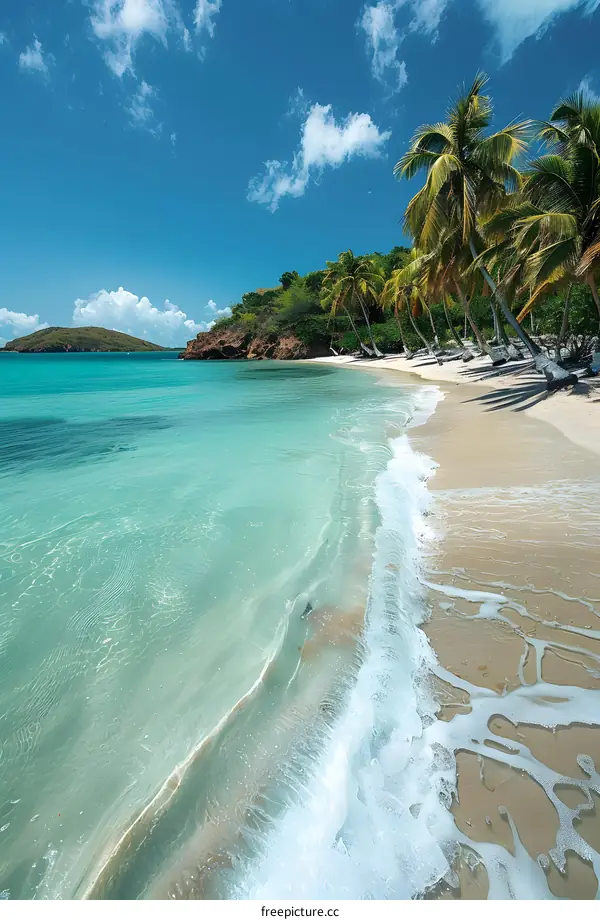 Caribbean paradise beach with turquoise water and palm trees