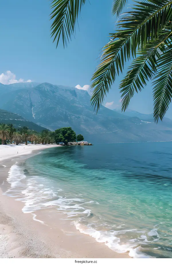 Tropical beach with palm trees and mountains