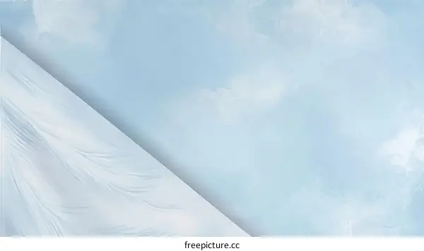 Delicate Feather Against a Light Sky