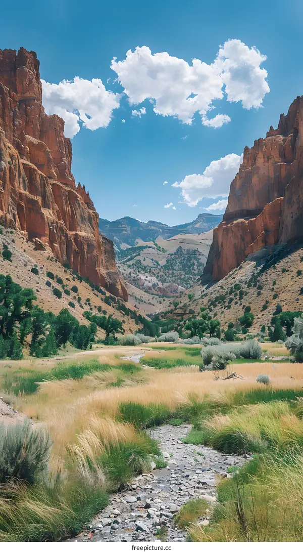 Mountain Landscape With Valley And Stream
