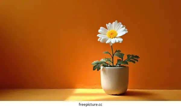 Simple White Flower in Orange Background
