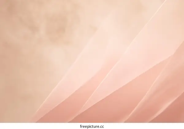 Delicate Pink Fabric Texture Background