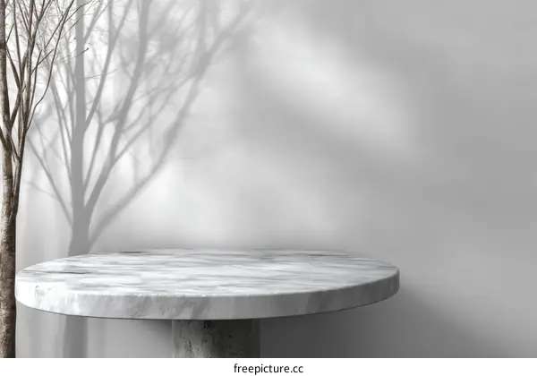 Empty Marble Table Top with Tree Shadow