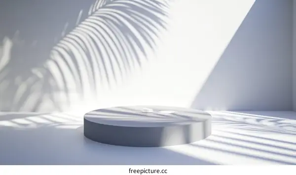Modern Minimalist Product Showcase with Palm Shadow