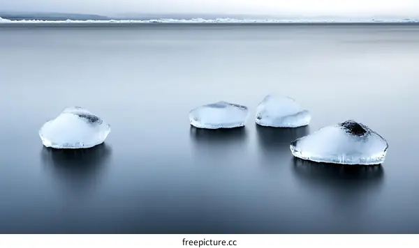 Ice Pieces on Calm Water Surface