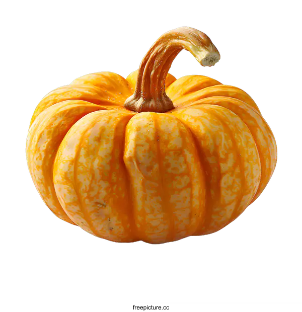 [Transparent Background PNG]A small pumpkin on white background