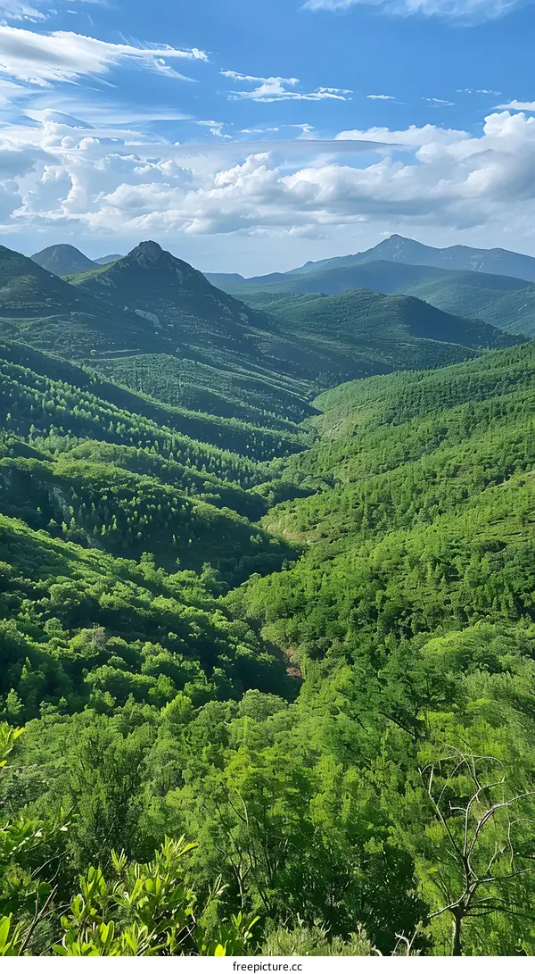 Aerial View of Lush Green Mountain Valley Landscape with Blue Sky and Clouds