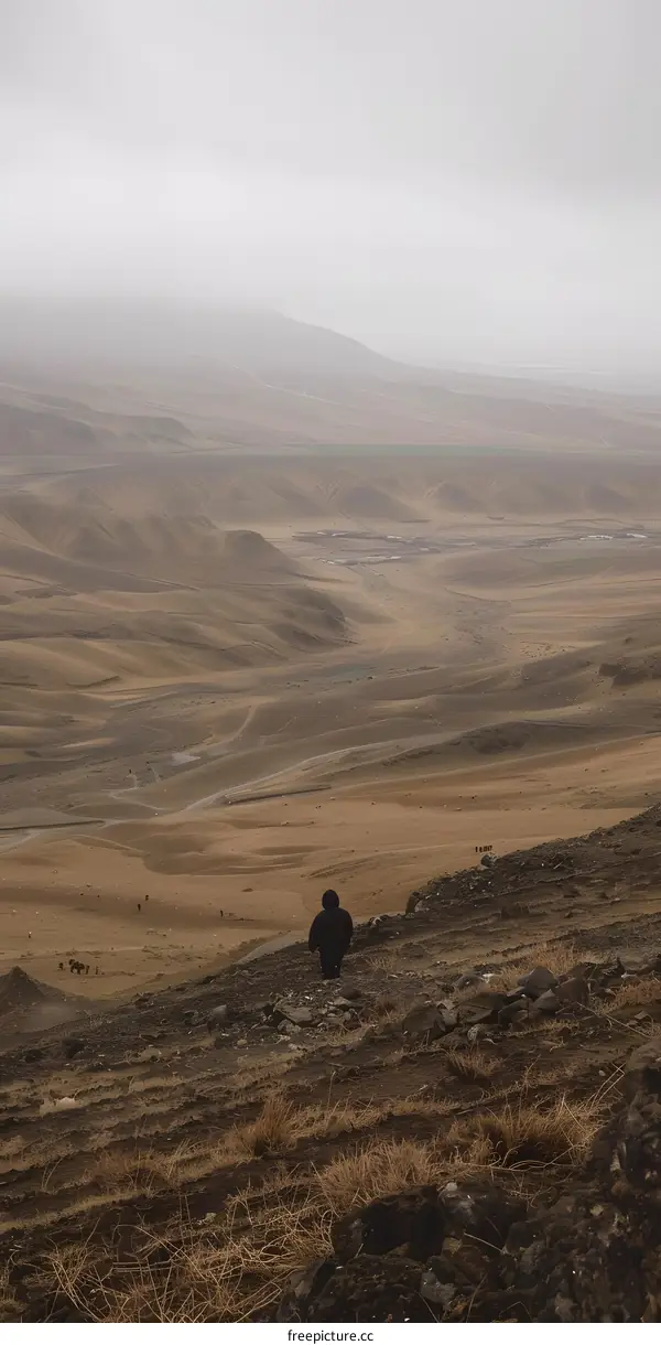Lone Figure on a Desolate Landscape in Iceland