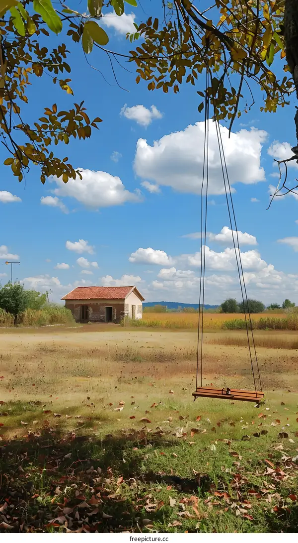 An empty wooden swing hangs from a tree in a rural field with a house in the background