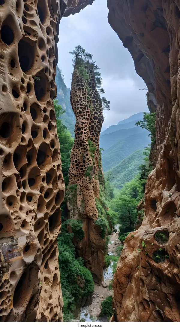 Honeycomb weathering rock pillar landscape