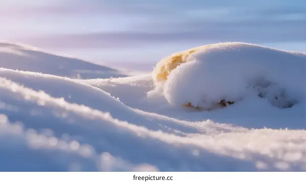 Snow-covered rock in vast winter landscape with soft sunlight