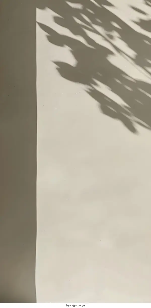 Abstract Minimalist Light and Shadow Photography