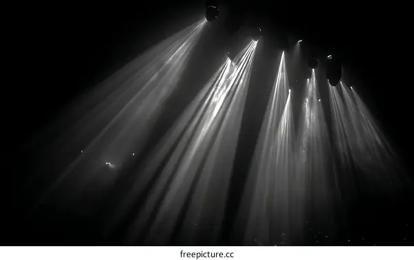 Spotlight Performance Venue with Audience